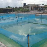 CSNHP20-1-（1）
